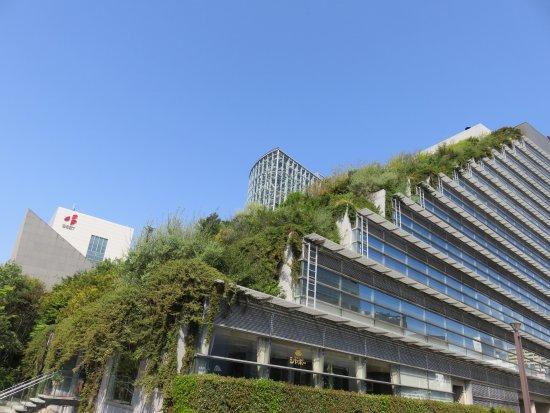 Dewan Antarabangsa ACROS Prefectural Fukuoka